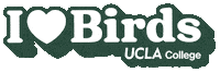 Birds Of A Feather Sticker by UCLA