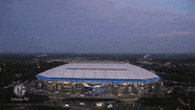 Football Soccer GIF by FC Schalke 04