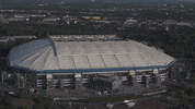 Veltins Arena Football GIF by FC Schalke 04