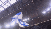 Football Soccer GIF by FC Schalke 04