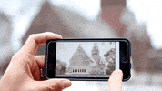 GIF by Harvard University