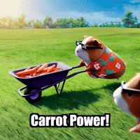 Guinea Pig GIF by Guinea Gambino
