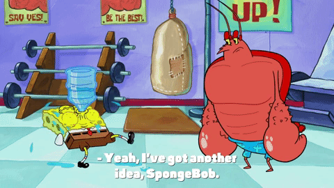 season 9 GIF by SpongeBob SquarePants