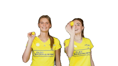 Fieldhockey Sticker by coelen