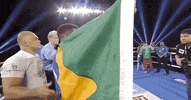 toprank fight sports sport boxing GIF