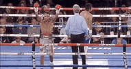 toprank fight sports sport boxing GIF