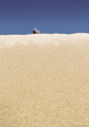day moment GIF