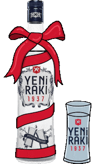 New Year Holiday Sticker by yenirakiglobal