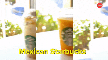 Starbucks GIF by BuzzFeed