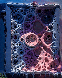 Bg Network GIF by Aleksey Efremov