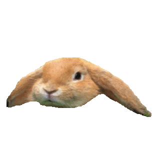 rabbit STICKER by imoji
