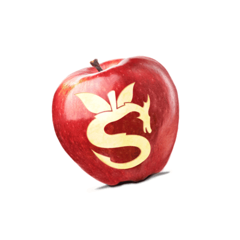 CrunchTimeAppleGrowers giphyupload apple produce red apple Sticker