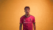 Vamos St Louis GIF by St. Louis CITY SC
