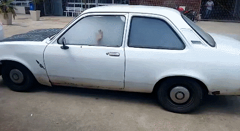 weed machine GIF