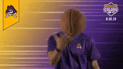 College Sports Mascots GIF by College Colors Day