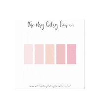 Theitsybitsybowco braid bows piggies pigtail Sticker