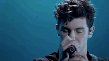shawn mendes 2018 bbmas GIF by Billboard Music Awards