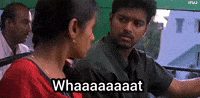 Bus What GIF