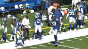 Maniac Leonard GIF by Indianapolis Colts