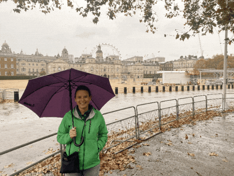 alisonschrag giphygifmaker giphyattribution alison schrag GIF