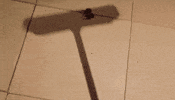 spider araignã©e GIF by Sport Decouverte