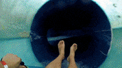 GIF by VakantieVeilingen