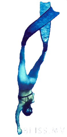 BlissDhigurah giphyupload diving dive maldives Sticker