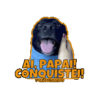 Cacausando pet pets cachorro cachorros Sticker