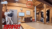 Scared Kim Mingyu GIF