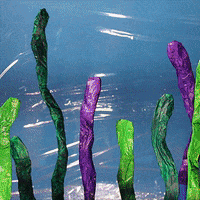 Knock Knock Fish GIF by j.a.c.k.i.e.l.a.n.d