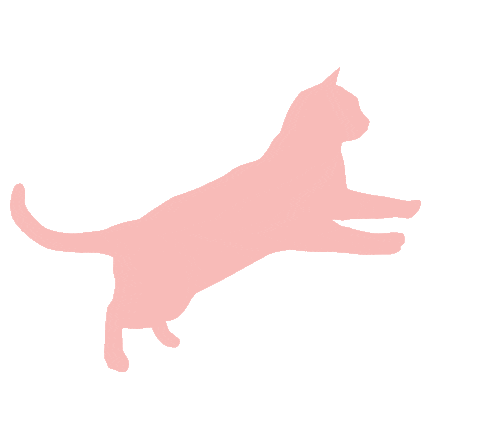 Cat Kitten Sticker by Catsmart Marketing