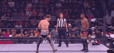 All Elite Wrestling GIF by AEWonTV