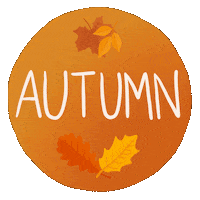 Fall Orange Sticker by Roman