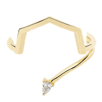 Gold Ring Sticker by Roosik & Co