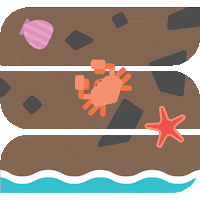 ExploreSeattleSouthside beach crab microadventures seattle southside GIF