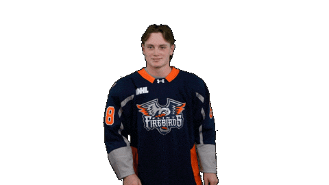 Game Day Win Sticker by Flint Firebirds