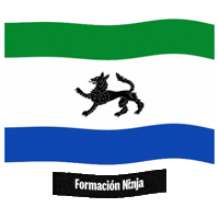 Castilla Y Leon Flag Sticker by Formación Ninja