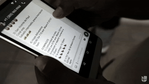 GIF by Univision Noticias