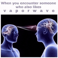 Vapor Dank Memes GIF by Database數據