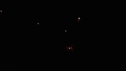 Fire Camping GIF by Las Estacas Parque Natural