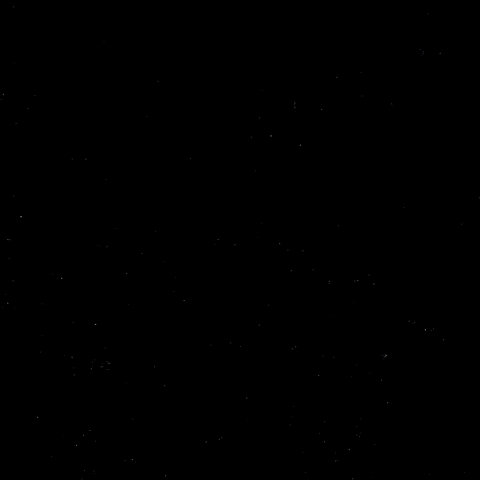 Celebration Hockey GIF by Eisbären Berlin