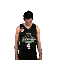 Asean Basketball League Sticker by ABL