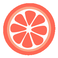 SomethingSoSam orange fruit florida orlando Sticker