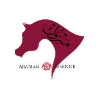 arabianessencetv arabian arabianessence arabianhorse arabianessence arabians cavallo cavalloarabo Sticker