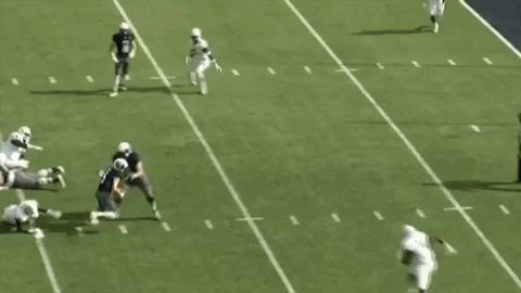 Celebrate Rice University GIF by Rice Owls