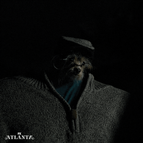 Dog Man GIF by Atlanta