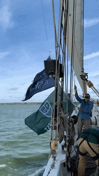 GIF by MercyhurstU