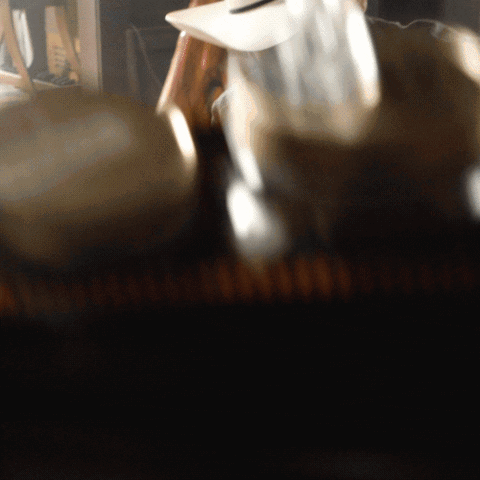 all in drinking GIF by Ole Smoky Distillery