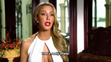 real housewives lisa hochstein GIF by RealityTVGIFs