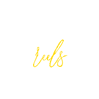godoipublicidade new yellow reels newreels Sticker
